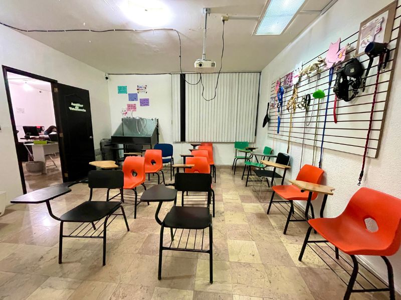 Aulas de CECISAQ
